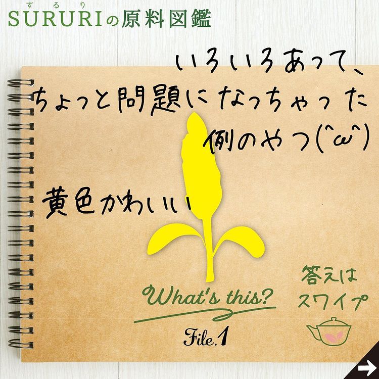 いろいろあって、ちょっと問題になっちゃた例のやつ?