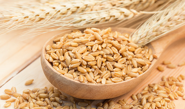 【理由①】研究データに基づき厳選された自然素材のみを使用